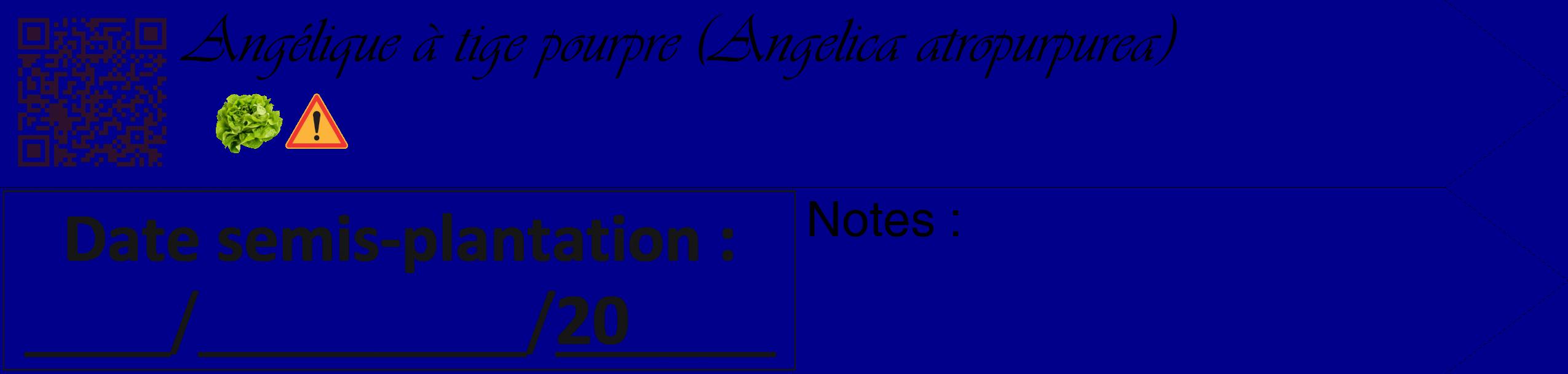 Étiquette de : Angelica atropurpurea - format c - style noire7simple_basique_basiqueviv avec qrcode et comestibilité simplifiée