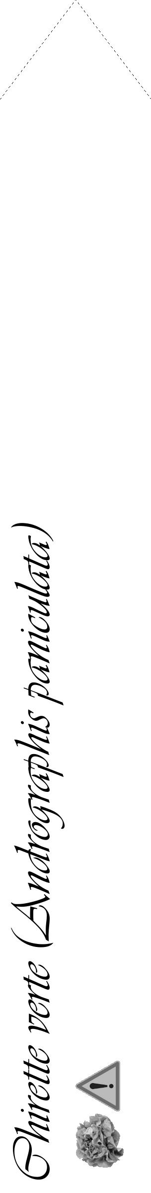 Étiquette de : Andrographis paniculata - format c - style noire60_simple_simpleviv avec comestibilité simplifiée - position verticale