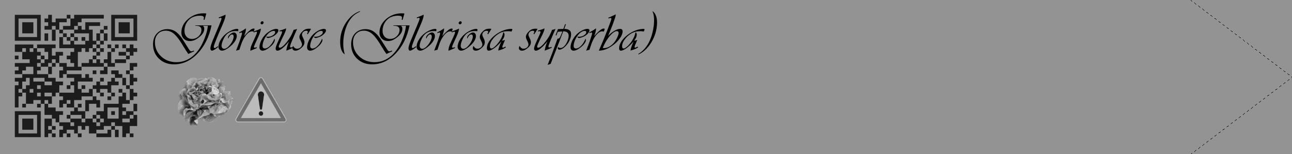 Étiquette de : Gloriosa superba - format c - style noire44_simple_simpleviv avec qrcode et comestibilité simplifiée
