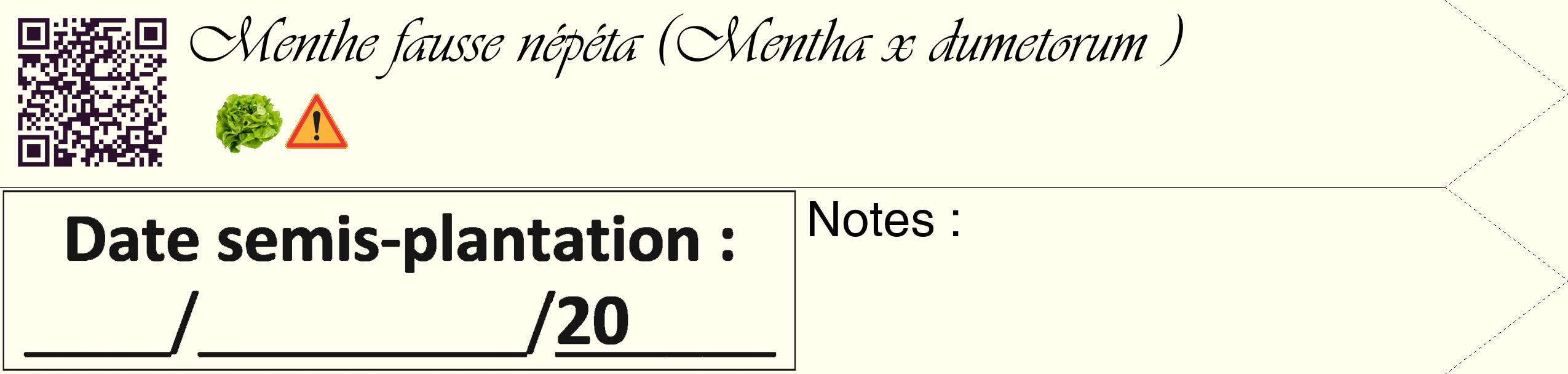 Étiquette de : Mentha x dumetorum  - format c - style noire19_simple_simpleviv avec qrcode et comestibilité simplifiée