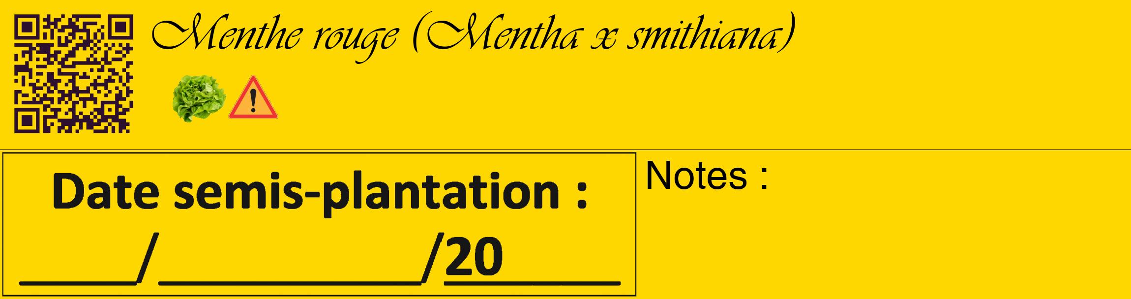 Étiquette de : Mentha x smithiana - format c - style noire21_basique_basiqueviv avec qrcode et comestibilité simplifiée