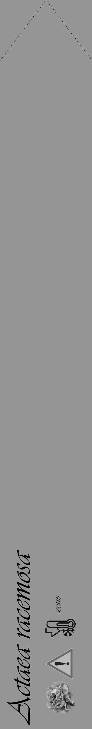 Étiquette de : Actaea racemosa - format c - style noire16_simple_simpleviv avec comestibilité simplifiée - position verticale