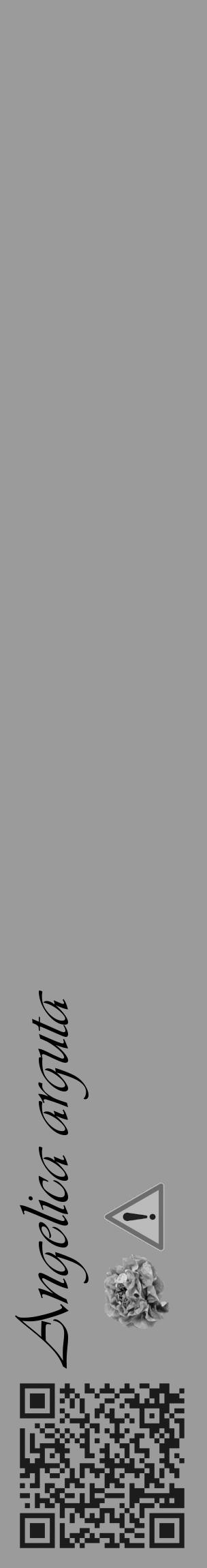 Étiquette de : Angelica arguta - format c - style noire52_basique_basiqueviv avec qrcode et comestibilité simplifiée - position verticale