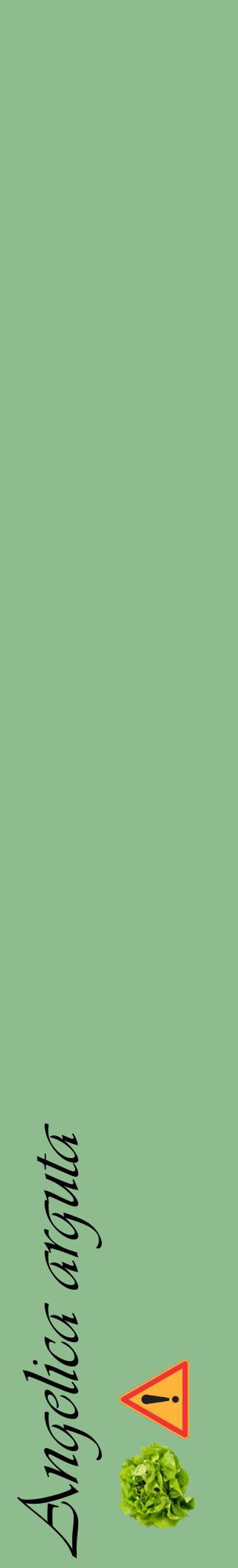 Étiquette de : Angelica arguta - format c - style noire13_basiqueviv avec comestibilité simplifiée