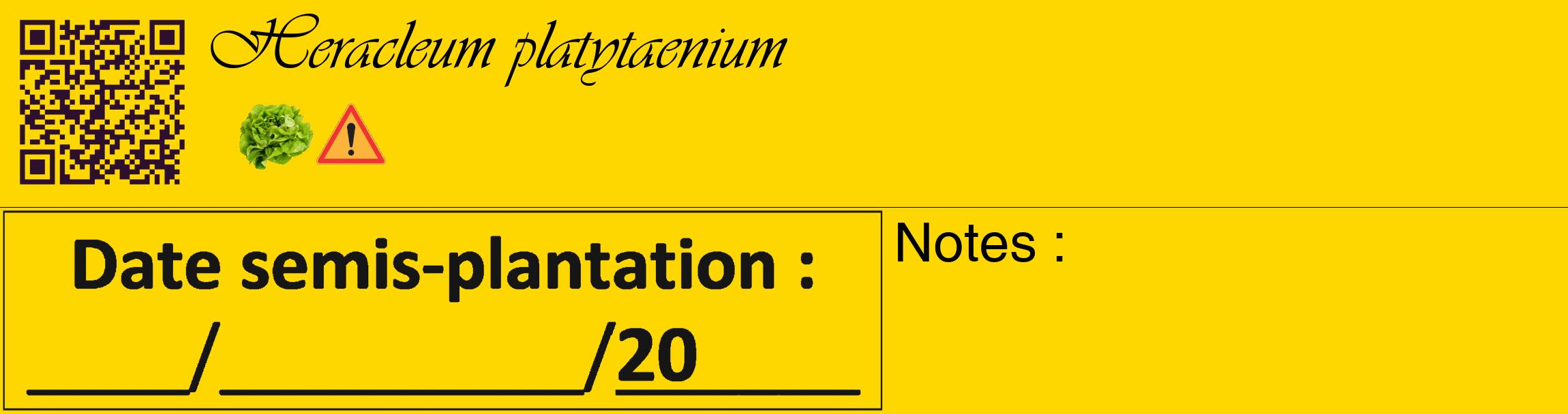 Étiquette de : Heracleum platytaenium - format c - style noire21_basique_basiqueviv avec qrcode et comestibilité simplifiée