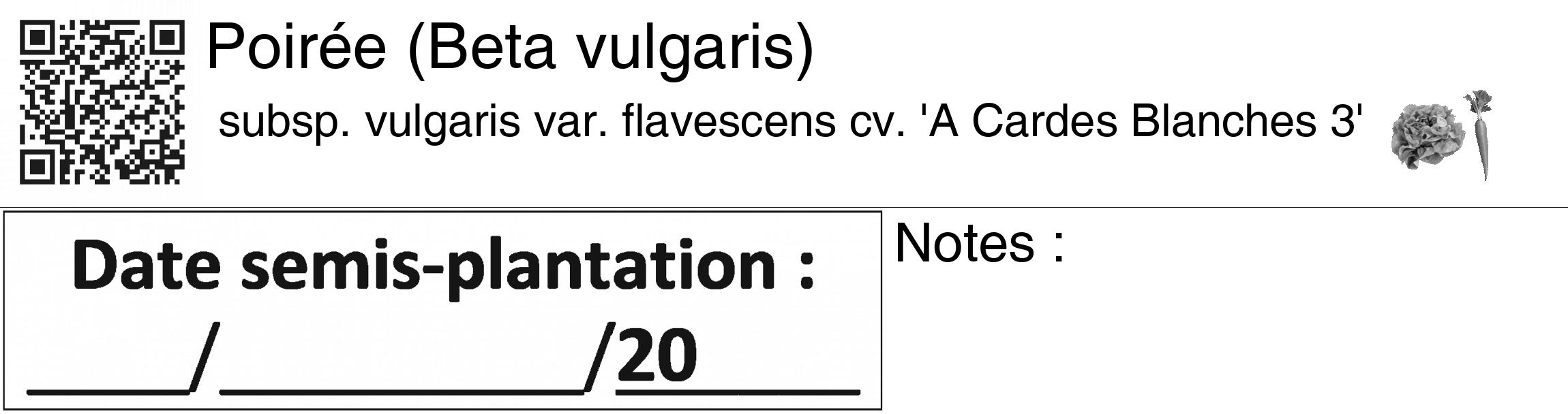 Étiquette de : Beta vulgaris subsp. vulgaris var. flavescens cv. 'A Cardes Blanches 3' - format c - style noire60_basiquegrrvhel avec qrcode et comestibilité simplifiée