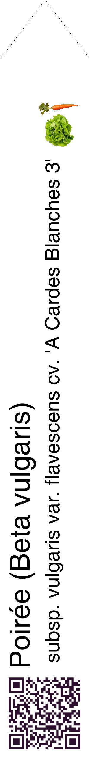 Étiquette de : Beta vulgaris subsp. vulgaris var. flavescens cv. 'A Cardes Blanches 3' - format c - style noire60_simplehel avec qrcode et comestibilité simplifiée