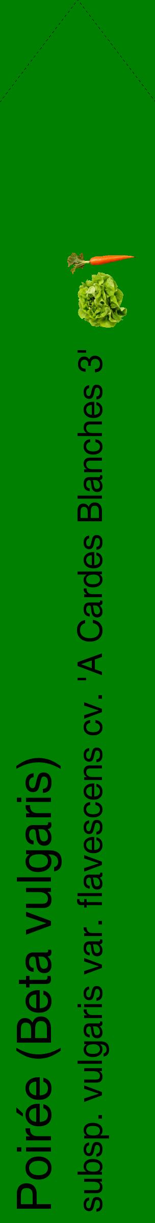 Étiquette de : Beta vulgaris subsp. vulgaris var. flavescens cv. 'A Cardes Blanches 3' - format c - style noire9_simplehel avec comestibilité simplifiée