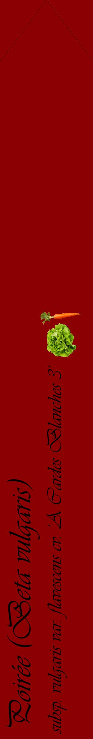 Étiquette de : Beta vulgaris subsp. vulgaris var. flavescens cv. 'A Cardes Blanches 3' - format c - style noire34_simpleviv avec comestibilité simplifiée