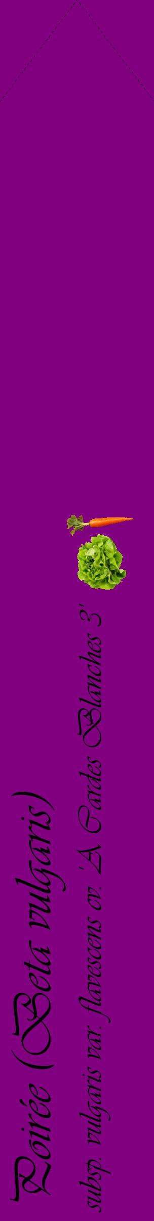 Étiquette de : Beta vulgaris subsp. vulgaris var. flavescens cv. 'A Cardes Blanches 3' - format c - style noire46_simpleviv avec comestibilité simplifiée