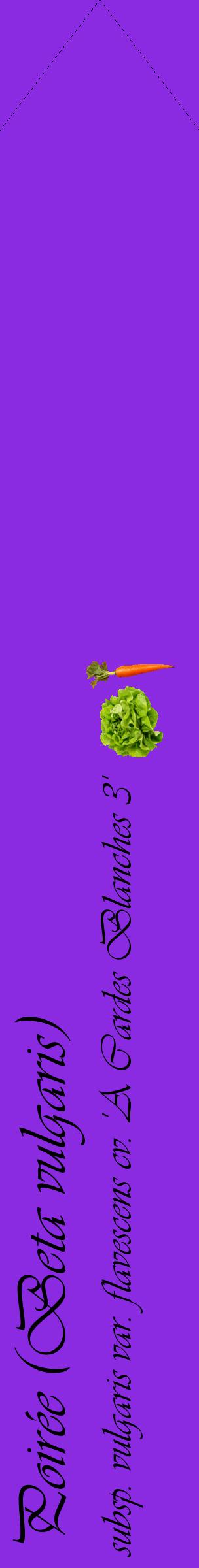 Étiquette de : Beta vulgaris subsp. vulgaris var. flavescens cv. 'A Cardes Blanches 3' - format c - style noire49_simpleviv avec comestibilité simplifiée