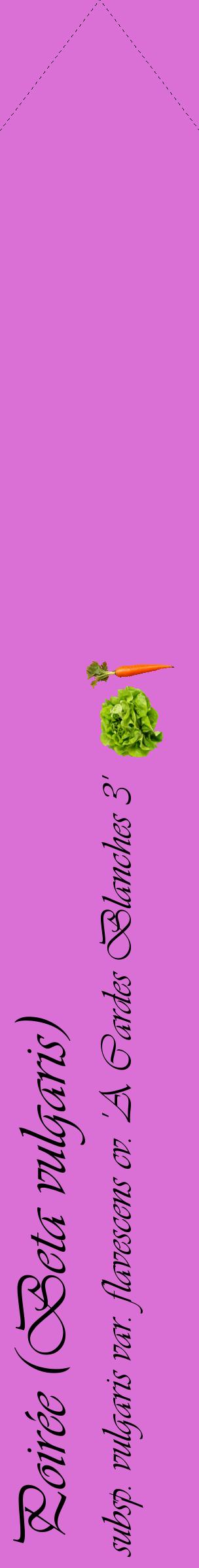 Étiquette de : Beta vulgaris subsp. vulgaris var. flavescens cv. 'A Cardes Blanches 3' - format c - style noire52_simpleviv avec comestibilité simplifiée