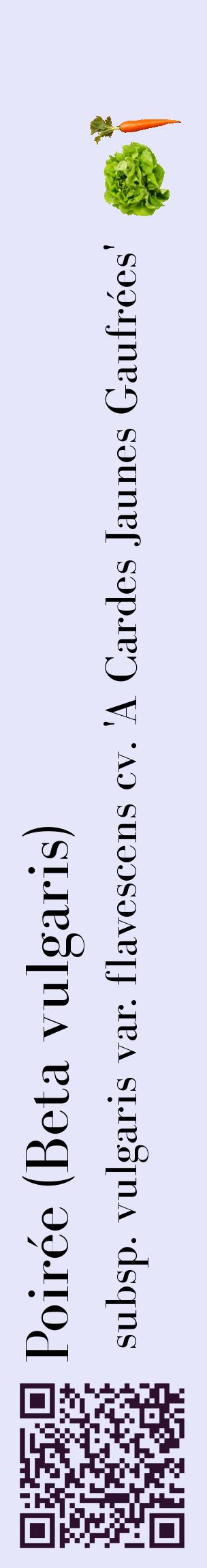 Étiquette de : Beta vulgaris subsp. vulgaris var. flavescens cv. 'A Cardes Jaunes Gaufrées' - format c - style noire55_basiquebod avec qrcode et comestibilité simplifiée