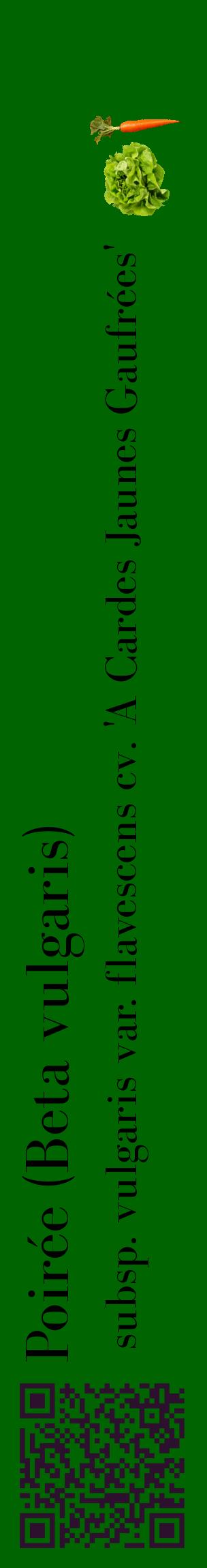 Étiquette de : Beta vulgaris subsp. vulgaris var. flavescens cv. 'A Cardes Jaunes Gaufrées' - format c - style noire8_basiquebod avec qrcode et comestibilité simplifiée