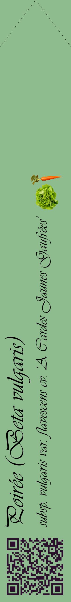 Étiquette de : Beta vulgaris subsp. vulgaris var. flavescens cv. 'A Cardes Jaunes Gaufrées' - format c - style noire13_simpleviv avec qrcode et comestibilité simplifiée