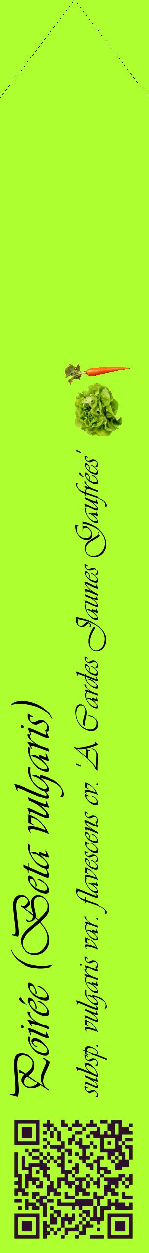 Étiquette de : Beta vulgaris subsp. vulgaris var. flavescens cv. 'A Cardes Jaunes Gaufrées' - format c - style noire17_simpleviv avec qrcode et comestibilité simplifiée