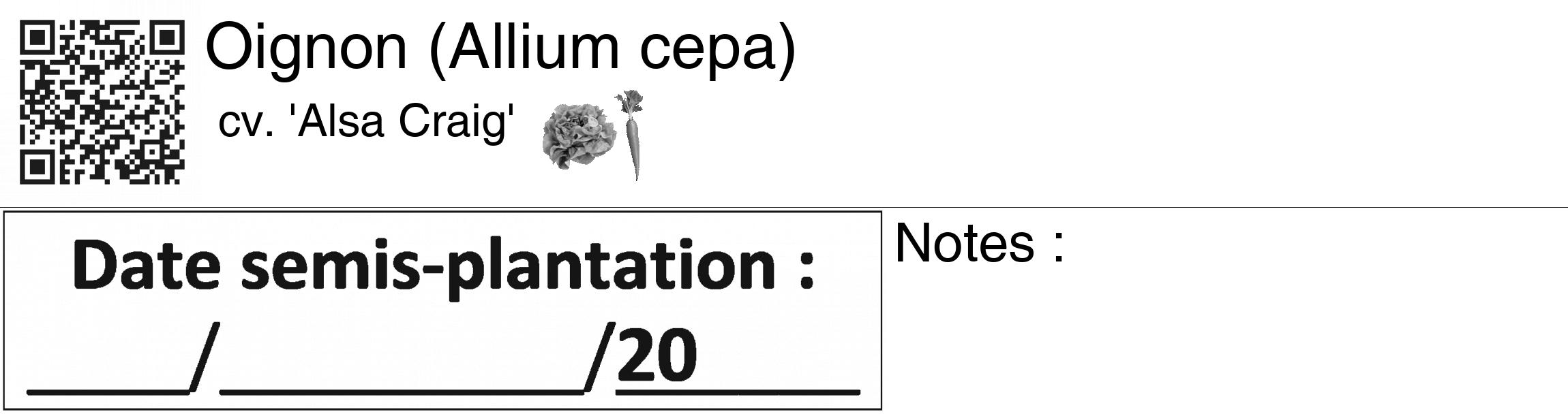 Étiquette de : Allium cepa cv. 'Alsa Craig' - format c - style noire60_basiquegrrvhel avec qrcode et comestibilité simplifiée