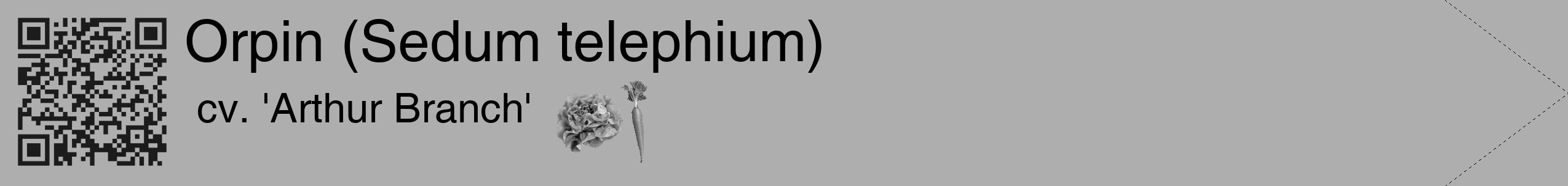 Étiquette de : Sedum telephium cv. 'Arthur Branch' - format c - style noire53simple_simple_simplehel avec qrcode et comestibilité simplifiée