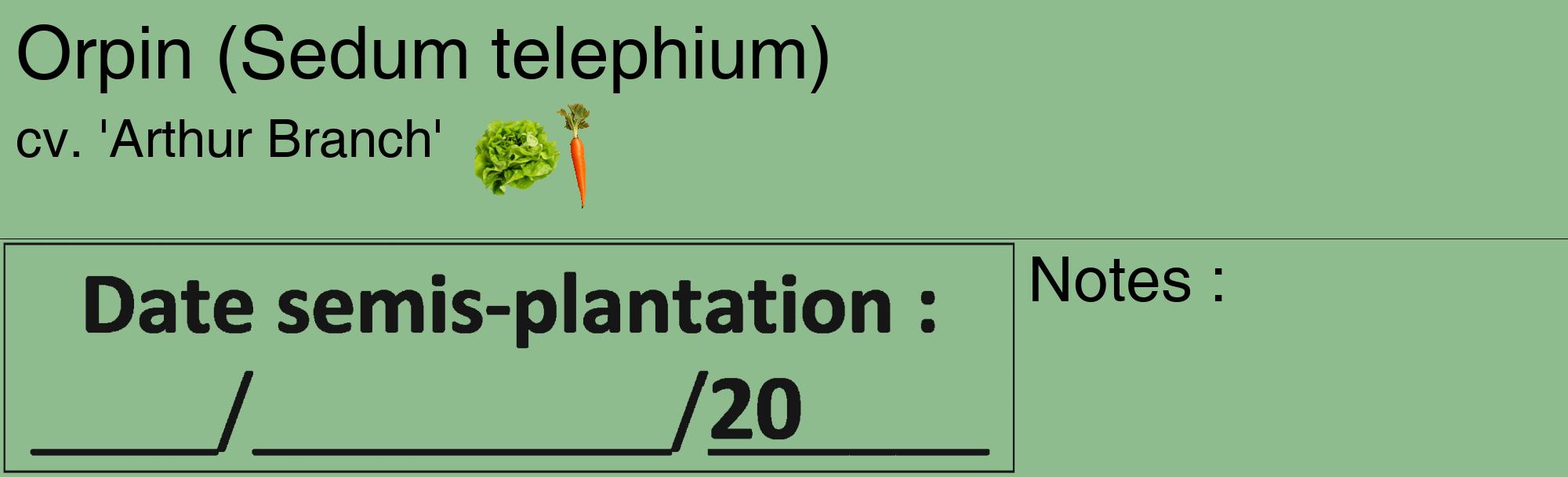 Étiquette de : Sedum telephium cv. 'Arthur Branch' - format c - style noire13_basique_basiquehel avec comestibilité simplifiée