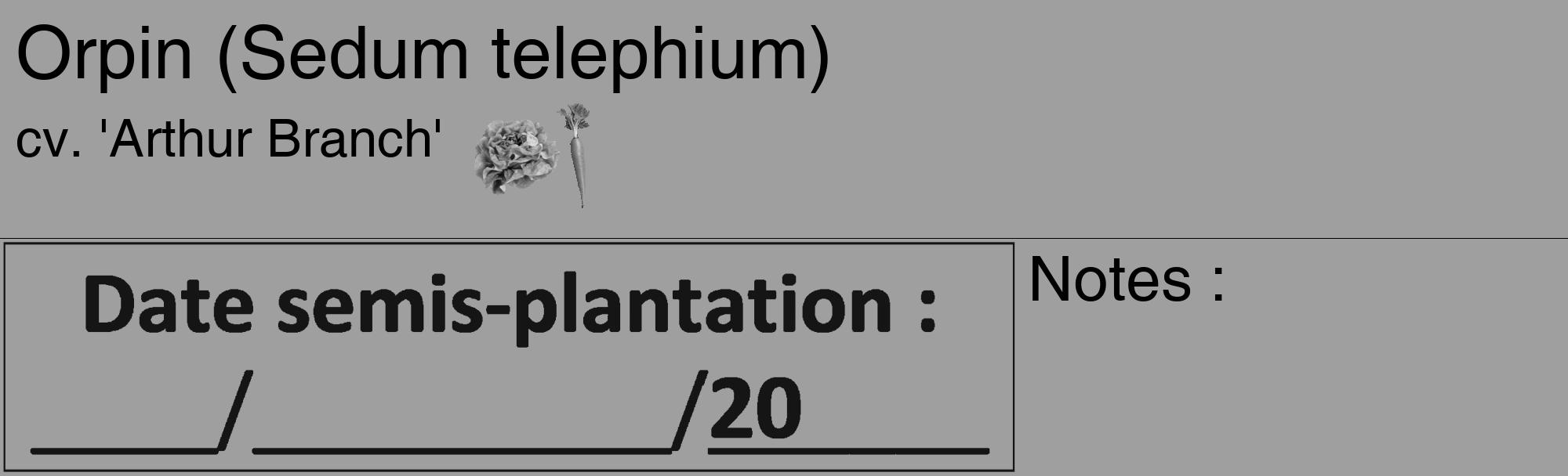 Étiquette de : Sedum telephium cv. 'Arthur Branch' - format c - style noire24_basique_basiquehel avec comestibilité simplifiée