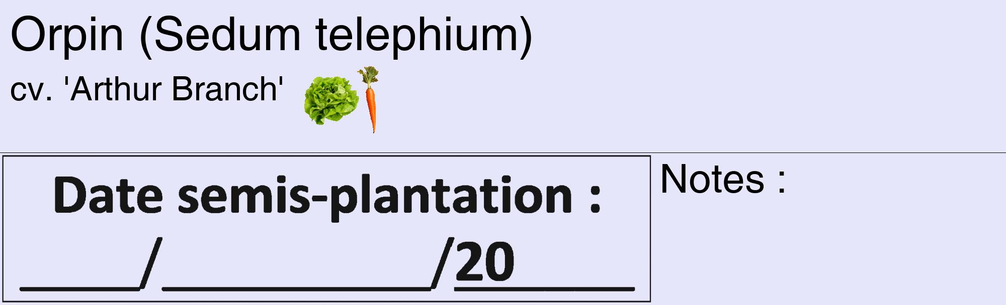 Étiquette de : Sedum telephium cv. 'Arthur Branch' - format c - style noire55_basique_basiquehel avec comestibilité simplifiée