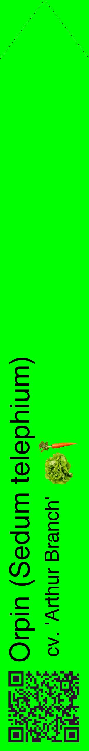 Étiquette de : Sedum telephium cv. 'Arthur Branch' - format c - style noire16_simplehel avec qrcode et comestibilité simplifiée