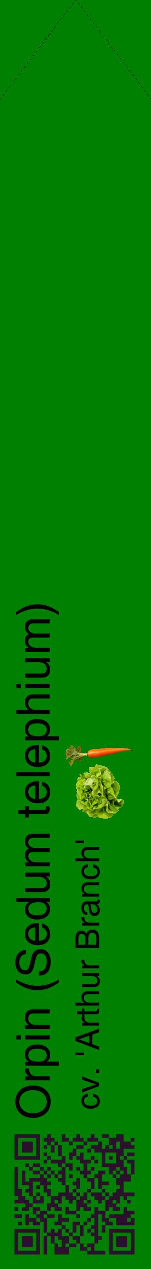 Étiquette de : Sedum telephium cv. 'Arthur Branch' - format c - style noire9_simplehel avec qrcode et comestibilité simplifiée