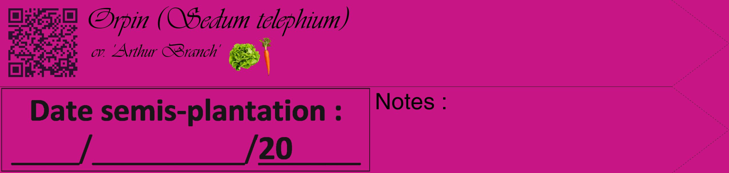 Étiquette de : Sedum telephium cv. 'Arthur Branch' - format c - style noire45_simple_simpleviv avec qrcode et comestibilité simplifiée