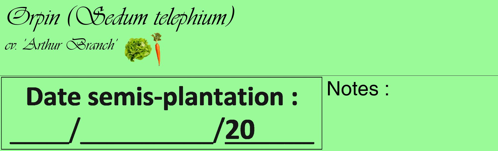 Étiquette de : Sedum telephium cv. 'Arthur Branch' - format c - style noire14_basique_basiqueviv avec comestibilité simplifiée