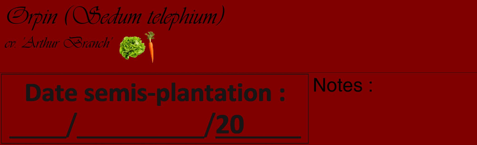 Étiquette de : Sedum telephium cv. 'Arthur Branch' - format c - style noire29_basique_basiqueviv avec comestibilité simplifiée