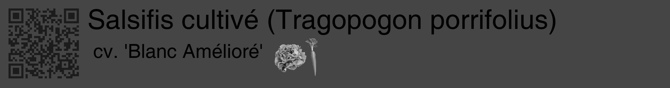 Étiquette de : Tragopogon porrifolius cv. 'Blanc Amélioré' - format c - style noire58_basique_basiquehel avec qrcode et comestibilité simplifiée