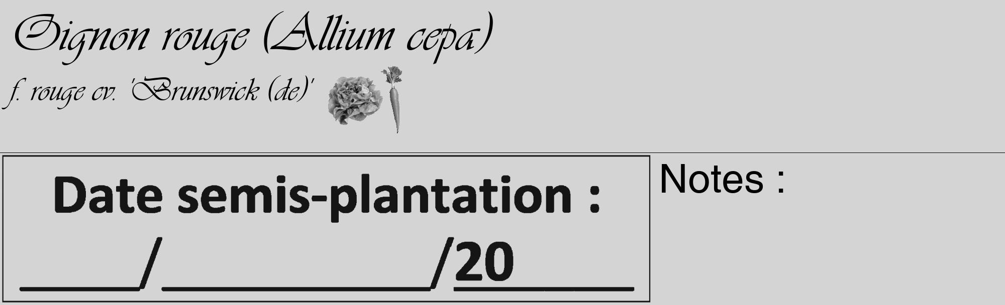 Étiquette de : Allium cepa f. rouge cv. 'Brunswick (de)' - format c - style noire40_basique_basiqueviv avec comestibilité simplifiée