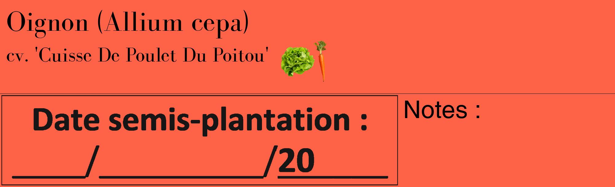 Étiquette de : Allium cepa cv. 'Cuisse De Poulet Du Poitou' - format c - style noire25_basique_basiquebod avec comestibilité simplifiée
