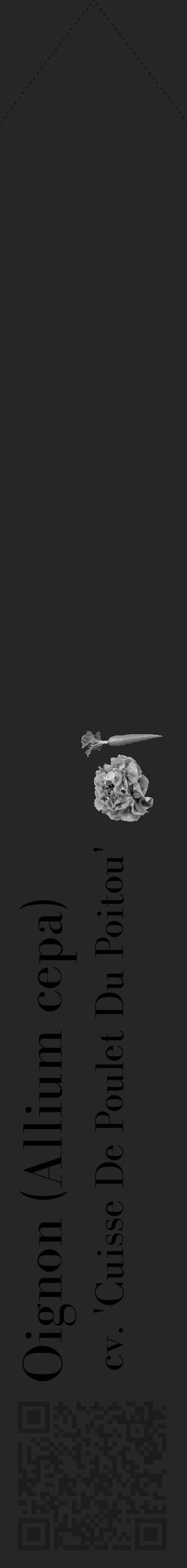 Étiquette de : Allium cepa cv. 'Cuisse De Poulet Du Poitou' - format c - style noire29_simple_simplebod avec qrcode et comestibilité simplifiée - position verticale