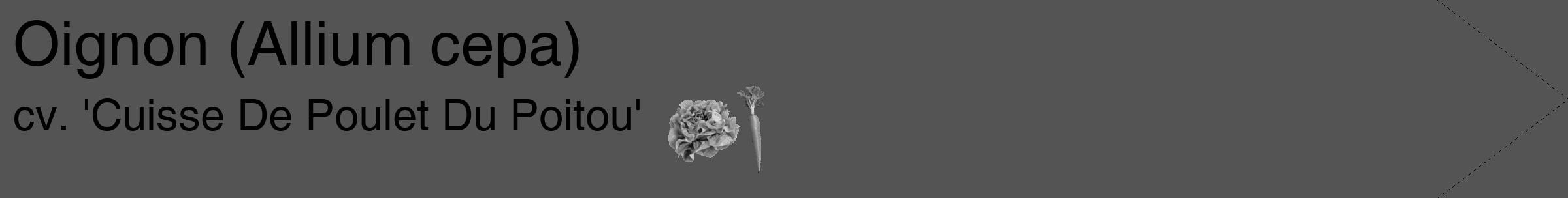 Étiquette de : Allium cepa cv. 'Cuisse De Poulet Du Poitou' - format c - style noire30_simple_simplehel avec comestibilité simplifiée