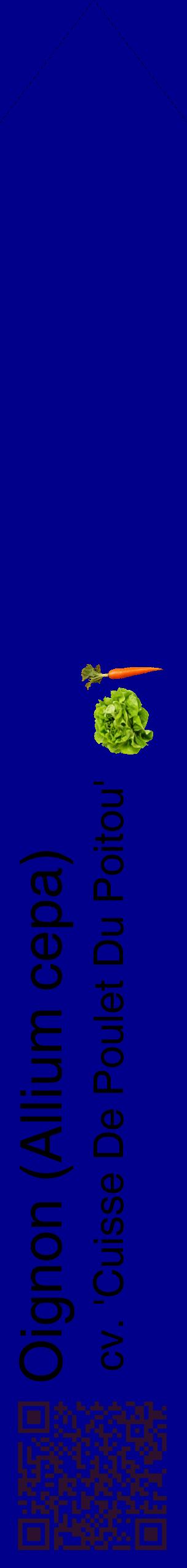 Étiquette de : Allium cepa cv. 'Cuisse De Poulet Du Poitou' - format c - style noire7_simplehel avec qrcode et comestibilité simplifiée