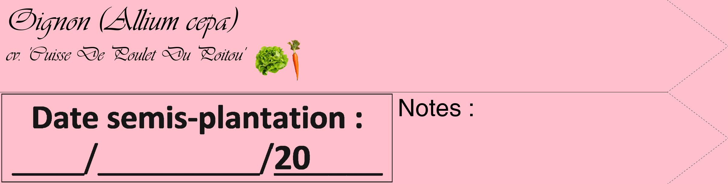 Étiquette de : Allium cepa cv. 'Cuisse De Poulet Du Poitou' - format c - style noire40_simple_simpleviv avec comestibilité simplifiée