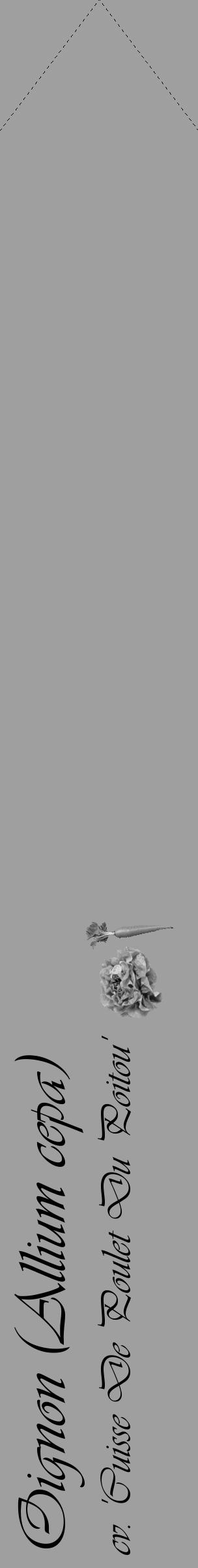 Étiquette de : Allium cepa cv. 'Cuisse De Poulet Du Poitou' - format c - style noire24_simple_simpleviv avec comestibilité simplifiée - position verticale
