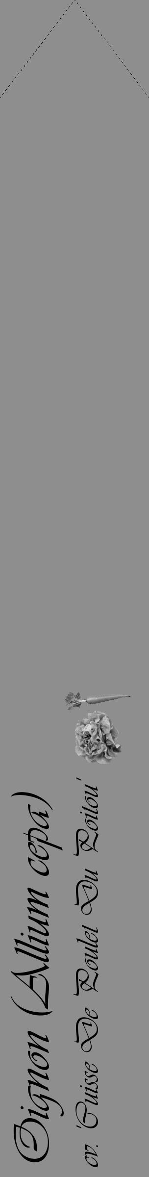 Étiquette de : Allium cepa cv. 'Cuisse De Poulet Du Poitou' - format c - style noire25_simple_simpleviv avec comestibilité simplifiée - position verticale