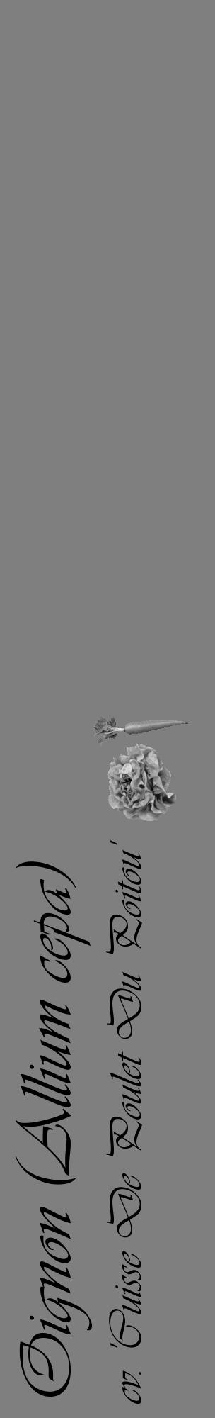 Étiquette de : Allium cepa cv. 'Cuisse De Poulet Du Poitou' - format c - style noire31_basique_basiqueviv avec comestibilité simplifiée - position verticale