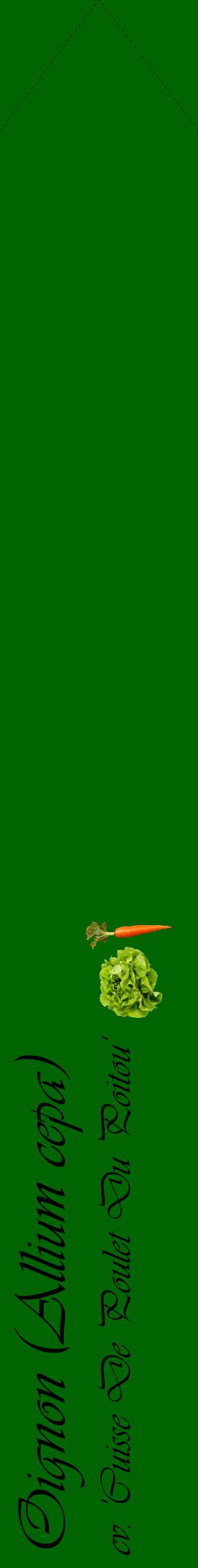 Étiquette de : Allium cepa cv. 'Cuisse De Poulet Du Poitou' - format c - style noire8_simpleviv avec comestibilité simplifiée