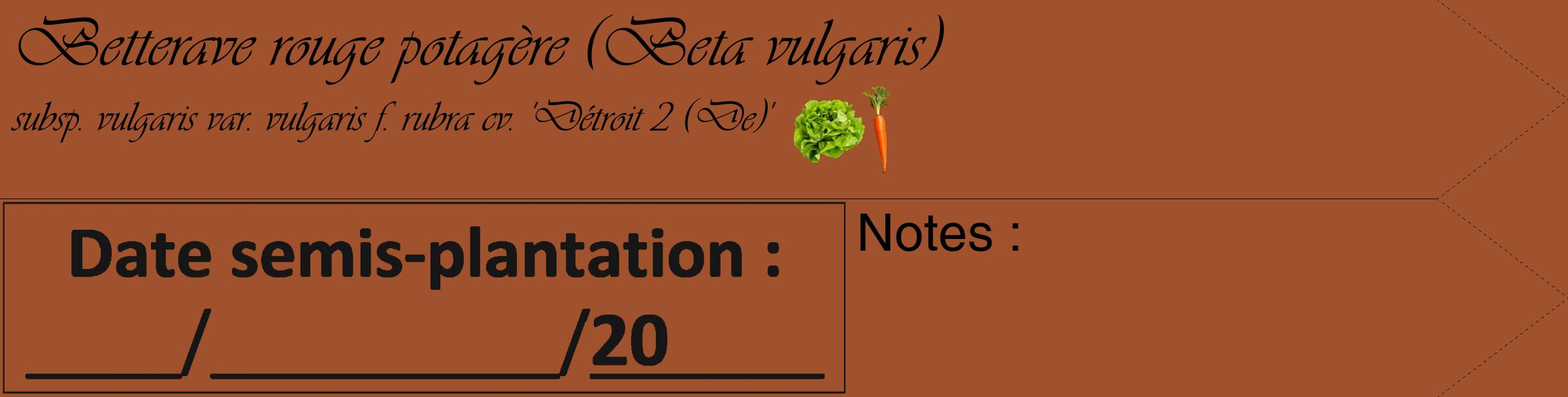 Étiquette de : Beta vulgaris subsp. vulgaris var. vulgaris f. rubra cv. 'Détroit 2 (De)' - format c - style noire32_simple_simpleviv avec comestibilité simplifiée