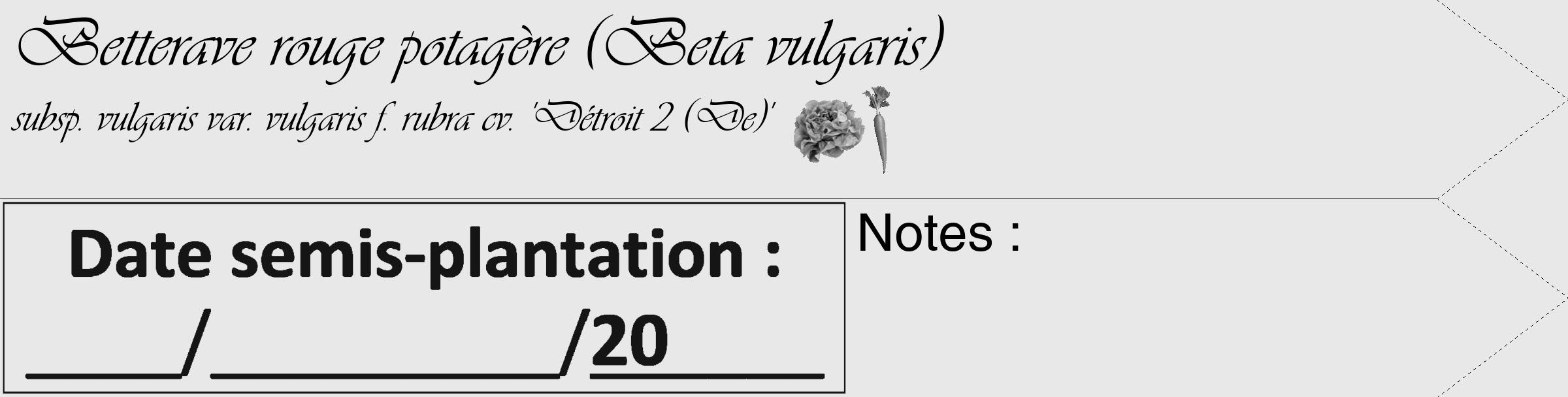 Étiquette de : Beta vulgaris subsp. vulgaris var. vulgaris f. rubra cv. 'Détroit 2 (De)' - format c - style noire55_simple_simpleviv avec comestibilité simplifiée