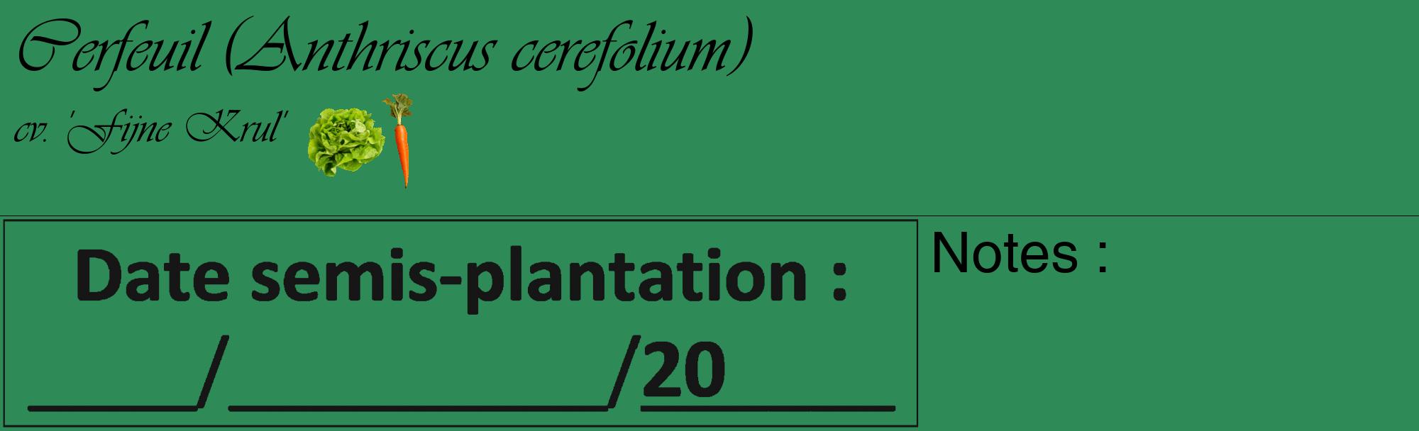 Étiquette de : Anthriscus cerefolium cv. 'Fijne Krul' - format c - style noire11_basique_basiqueviv avec comestibilité simplifiée