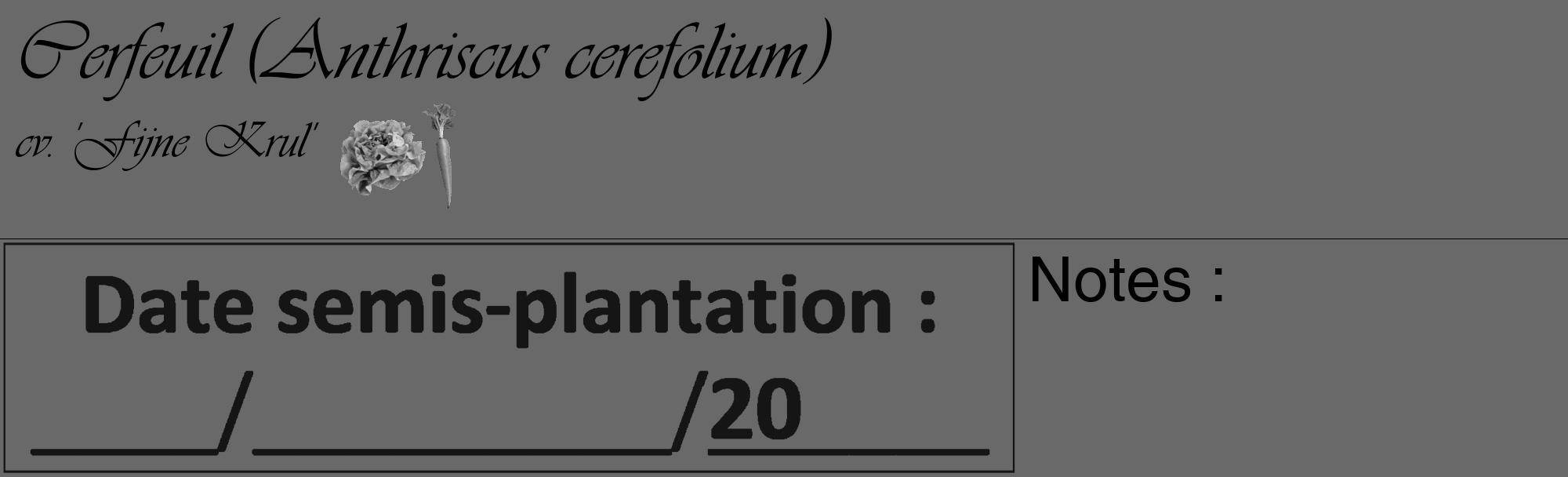 Étiquette de : Anthriscus cerefolium cv. 'Fijne Krul' - format c - style noire11_basique_basiqueviv avec comestibilité simplifiée