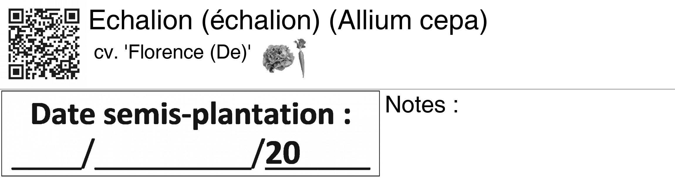 Étiquette de : Allium cepa cv. 'Florence (De)' - format c - style noire60_basiquegrrvhel avec qrcode et comestibilité simplifiée