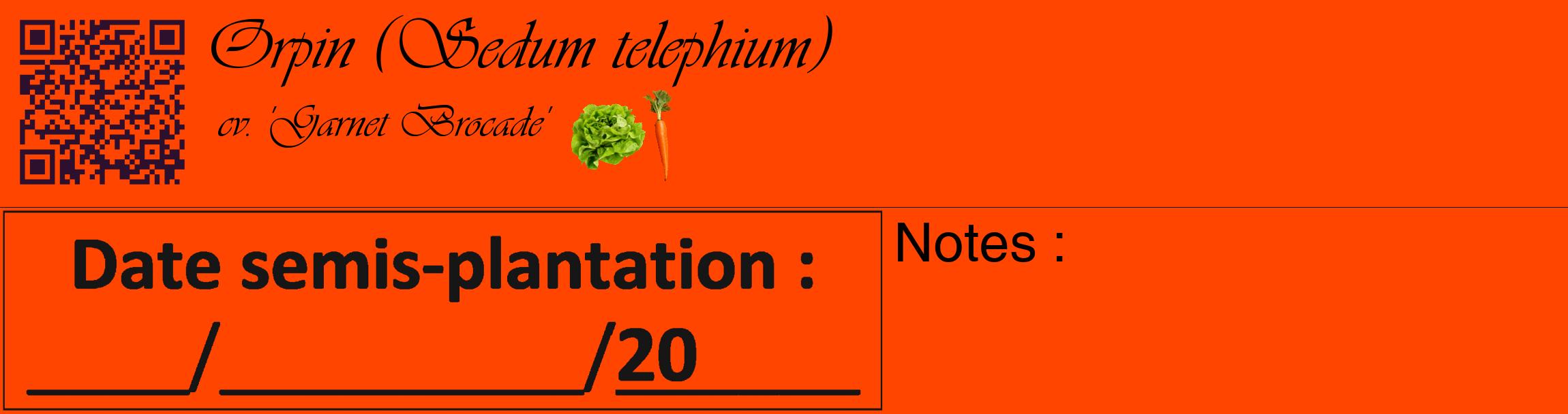 Étiquette de : Sedum telephium cv. 'Garnet Brocade' - format c - style noire26basique_basique_basiqueviv avec qrcode et comestibilité simplifiée