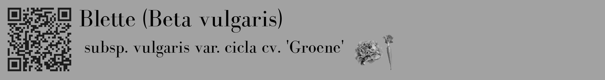 Étiquette de : Beta vulgaris subsp. vulgaris var. cicla cv. 'Groene' - format c - style noire38_basique_basiquebod avec qrcode et comestibilité simplifiée