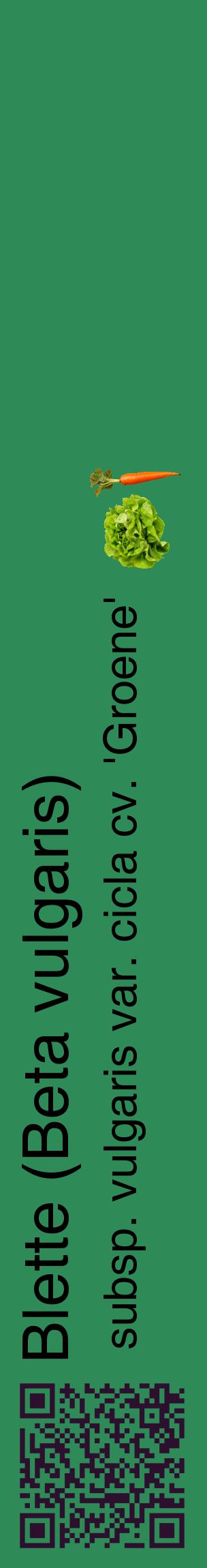 Étiquette de : Beta vulgaris subsp. vulgaris var. cicla cv. 'Groene' - format c - style noire11_basiquehel avec qrcode et comestibilité simplifiée