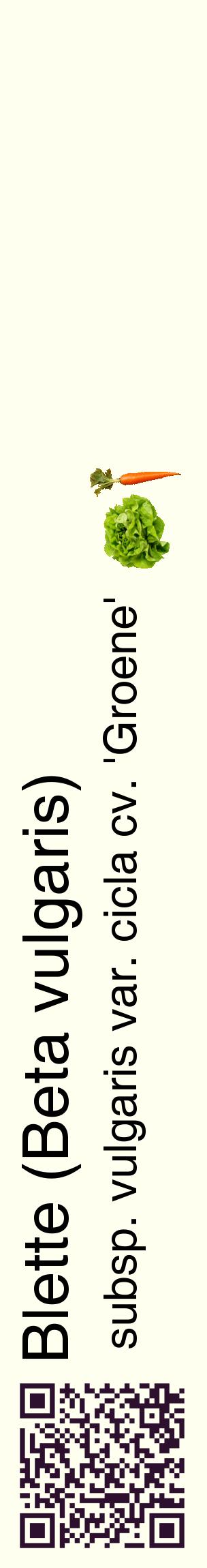 Étiquette de : Beta vulgaris subsp. vulgaris var. cicla cv. 'Groene' - format c - style noire19_basiquehel avec qrcode et comestibilité simplifiée